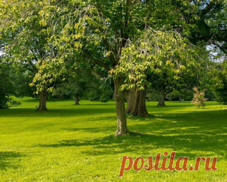 Занятия на свежем воздухе улучшают показатели маленьких детей
Новое исследование, проведенное учеными из Университета Иллинойса, предполагает, что ежедневные уроки на свежем воздухе в окружении зелени могут повысить эмоциональную саморегуляцию у маленьких детей, настраивая их на больший академический и социально-эмоциональный успех. Исследование было представлено в Journal of Environmental...
Читай пост далее на сайте. Жми ⏫ссылку выше