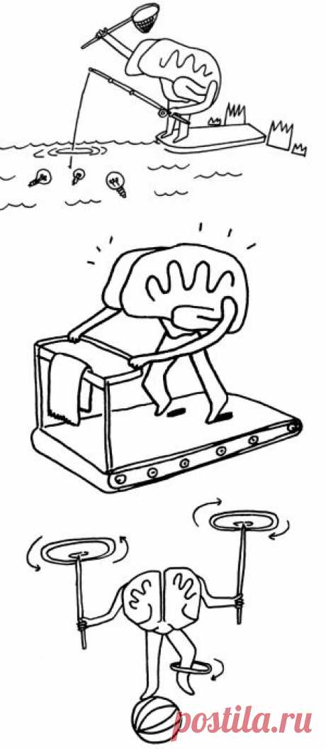 Вся правда о вашем мозге: 11 фактов