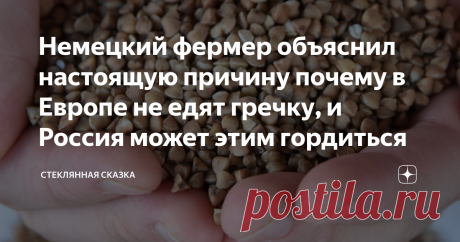 Немецкий фермер объяснил настоящую причину почему в Европе не едят гречку, и Россия может этим гордиться В интернете причину того, что &quot;буржуины&quot; не едят нашу &quot;царицу стола&quot; объясняют тем, что у неё якобы не такой вкус. Авторы сего мнения пусть попробуют шведский сюрстрёминг или исландский хакарль. После дня отсидки на белом брате и пяти рулонов туалетной бумаги они поймут, что на вкус в Европе обращают внимание в последнюю очередь. Настоящую же причину нераспространённост...