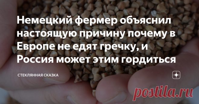 Немецкий фермер объяснил настоящую причину почему в Европе не едят гречку, и Россия может этим гордиться В интернете причину того, что 