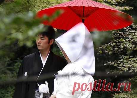 Домострой по-японски | ДОСТОЙНАЯ ЖИЗНЬ НА ПЕНСИИ