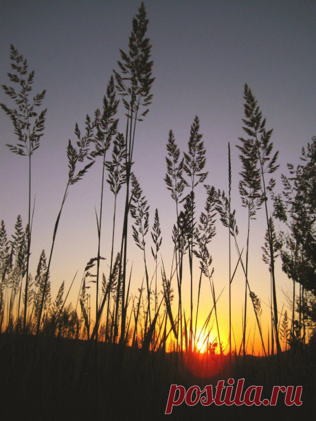 Рассветы, закаты.