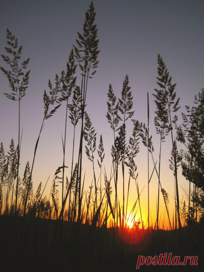Рассветы, закаты.