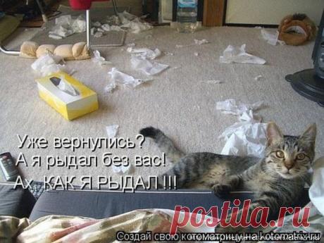 Хорошо, когда вас ждут дома!.
