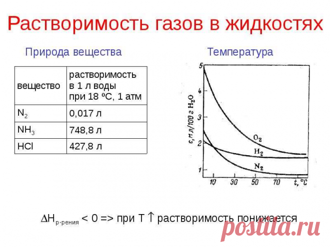 ЕГЭ -2023: 34 задача на растворимость газов. | Елена Шаврак | Дзен