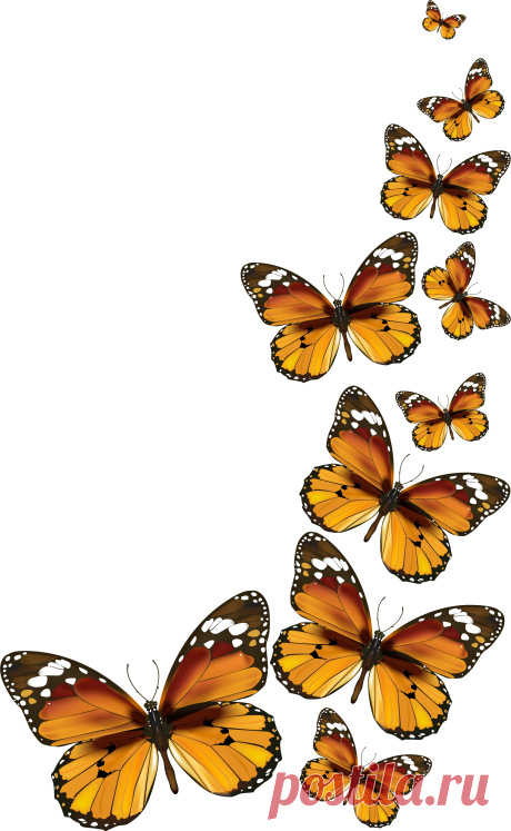0_1a7d08_15b778ff_orig.png (2331×3783)
