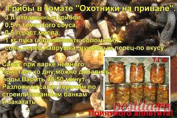 погребок | 37 фотографий