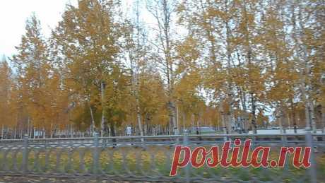 У Есенина День Рождения Нижневартовск 031020