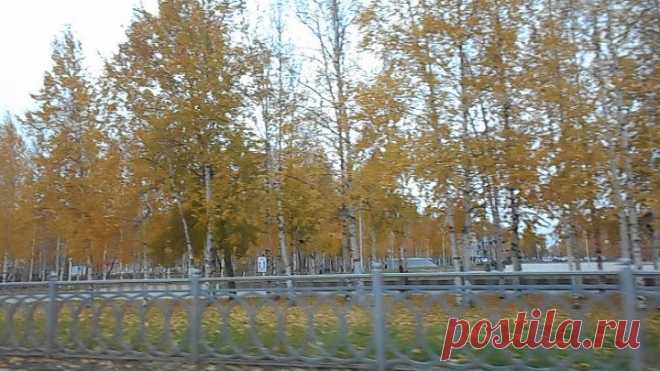 У Есенина День Рождения Нижневартовск 031020