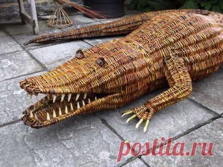 Willow Crocodile