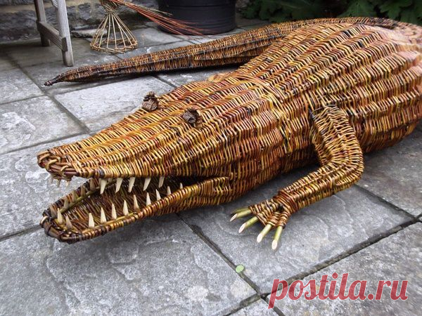 Willow Crocodile