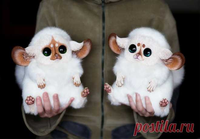 Позитиффчик :)) Мексиканский глазоух. - Yankee, go - home!