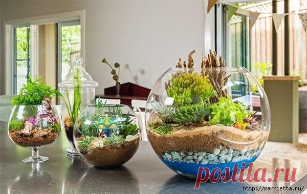 Флорариум своими руками