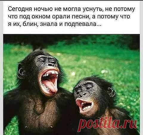 Лучшие анекдоты на каждый день