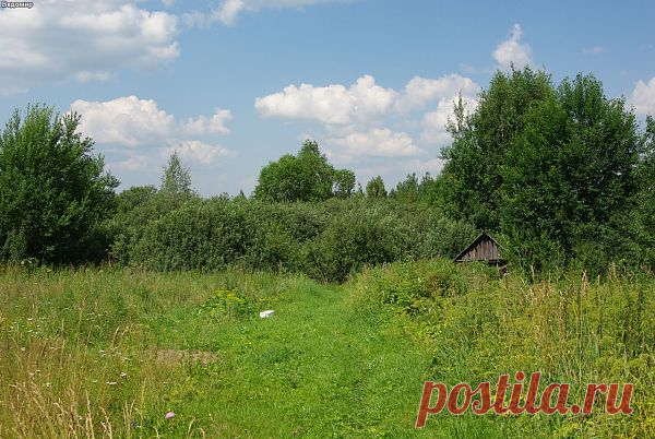 http://boltai.com/g/6cotok/topics/43906071157