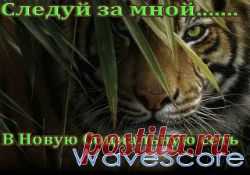 А можно ли в социальных сетях зарабатывать? Конечно же, такая огромная аудитория привлекательна для любого бизнеса, но для этого нужно быть бизнесменом. А что делать тем, кто не обладает деловыми способностями?
Оказывается можно получать деньги за то, что всегда в социальных сетях Вы делали бесплатно. Получайте удовольствие от общения и зарабатывайте!