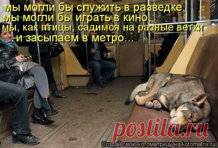 Разведматрица для разведки