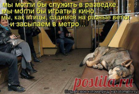 Разведматрица для разведки