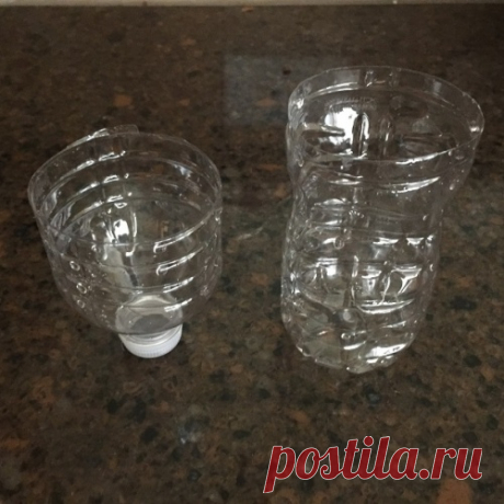 Простая и эффективная ловушка для комаров из пластиковой бутылки