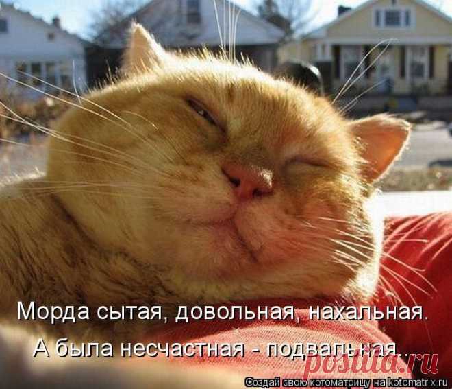 жизнь удалась...