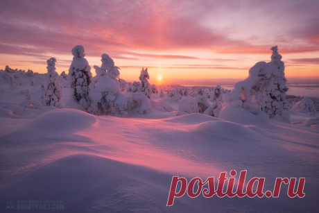 Зимняя сказка на закате дня близ Кандалакши. Снимал Сергей Королёв. Доброй ночи.