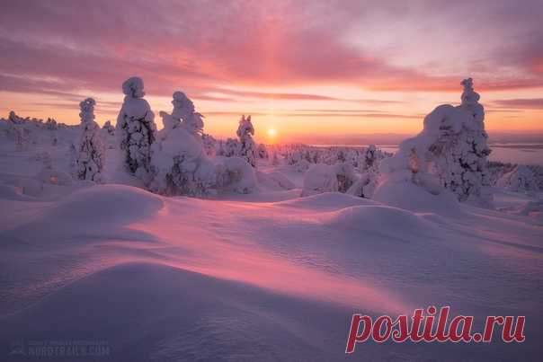 Зимняя сказка на закате дня близ Кандалакши. Снимал Сергей Королёв. Доброй ночи.