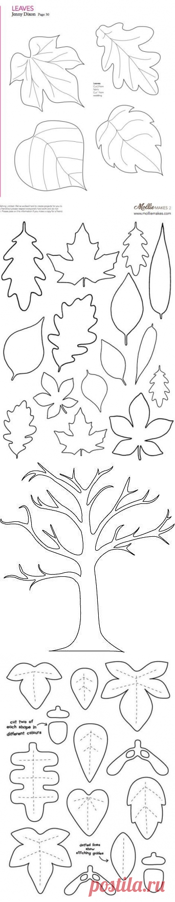 Шаблоны листьев