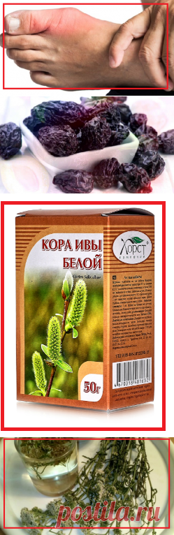 Мой опыт лечения "аристократической болезни" подагры | моя записная книжка | Яндекс Дзен