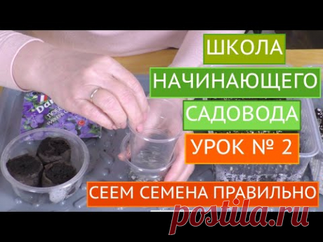 КАК ПРАВИЛЬНО СЕЯТЬ СЕМЕНА РАЗНЫХ РАЗМЕРОВ! ШКОЛА НАЧИНАЮЩИХ САДОВОДОВ!
