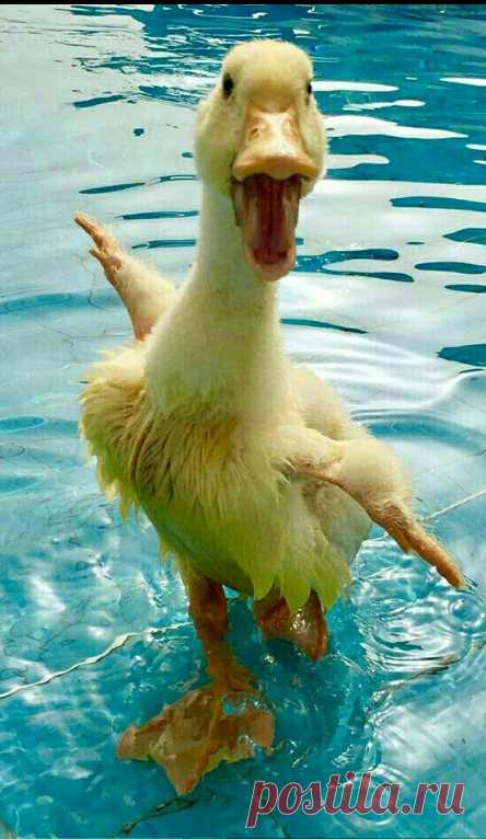 Фото – Google+