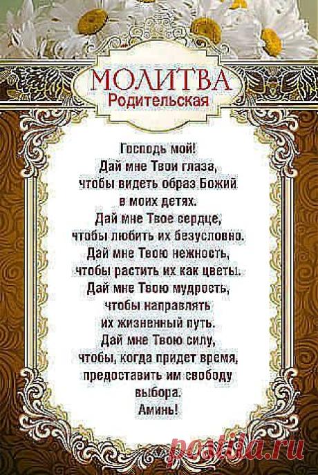 (1) Одноклассники