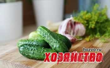 Малосольные огурчики