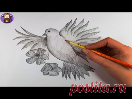 Рисуем голубя, карандаш | Рисование и роспись