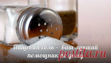 Наука Жизни