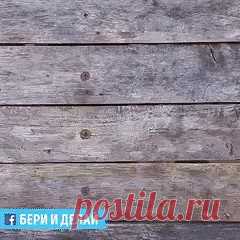 (1) Одноклассники