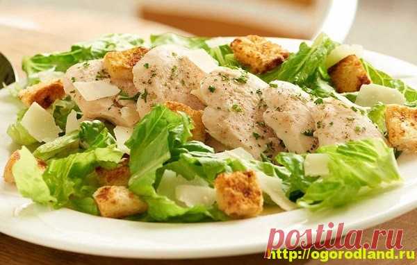 (+2) Салаты из курицы. Подборка вкусных салатов с курицей