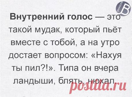 1 новое сообщение