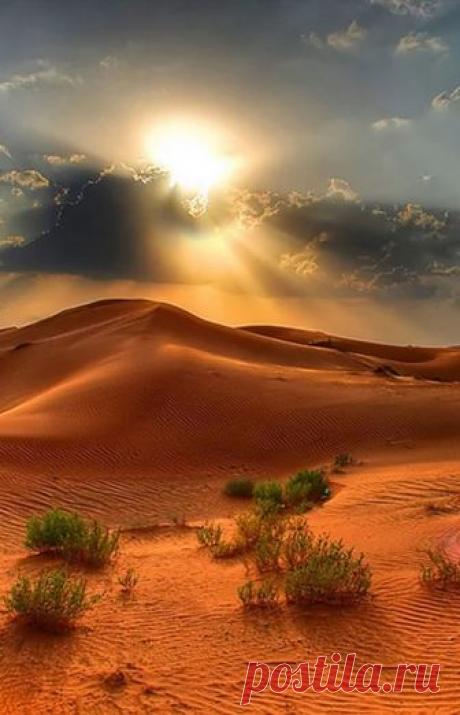 discotracker:
“🎛️🎙️
”