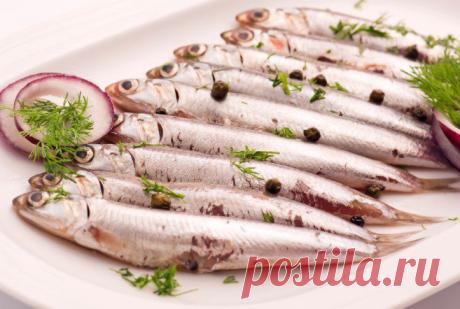 Как солить кильку