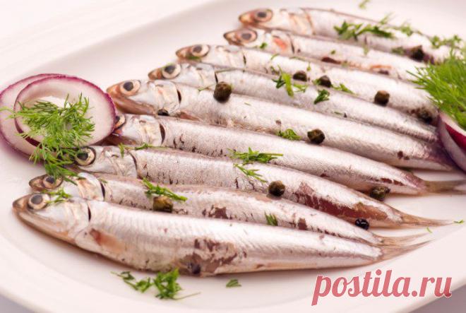 Как солить кильку