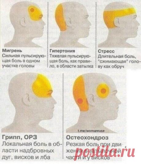 Полезная шпаргалочка, которую точно нужно сохранить
