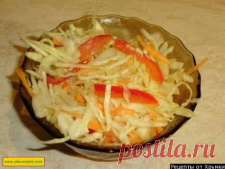 Салат из свежей капусты с морковью и уксусом рецепт с фото пошагово - 1000.menu