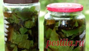 Лечение при помощи алюминиевой фольги | Советы целительницы