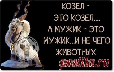 Прикольные фразки в картинках