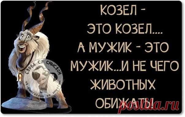 Прикольные фразки в картинках
