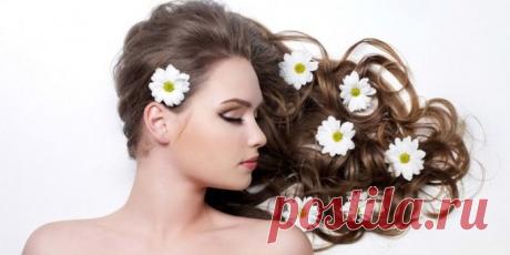 Домашние средства для ухода за жирными волосами