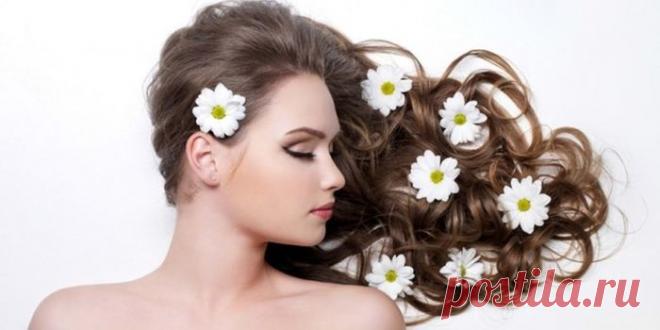 Домашние средства для ухода за жирными волосами