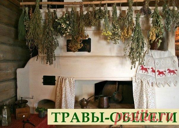 КАК С ПОМОЩЬЮ ТРАВ УЛУЧШИТЬ СОБСТВЕННУЮ ЖИЗНЬ. СОВЕТЫ ШАМАНА

Травы — это самая древняя в мире целительная сила. Как с помощью элементарной ботаники улучшить собственную жизнь, советует шаман.

Отпугнуть завистников и недоброжелателей
Показать полностью…