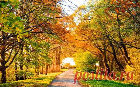 Фото осени: красивая осень. Красивые фото осенних пейзажей.