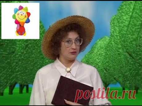 Английский язык. Для младших школьников.Часть 1.